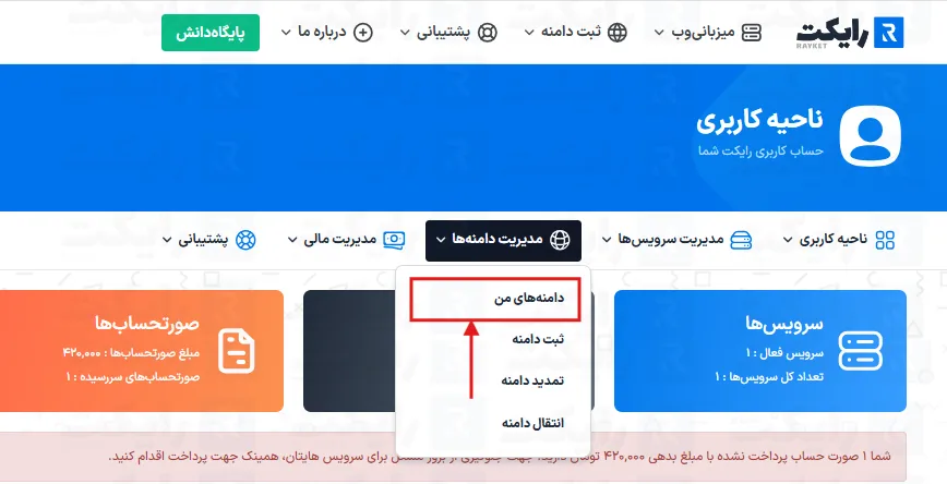 راهنمای بررسی وضعیت دامنه
