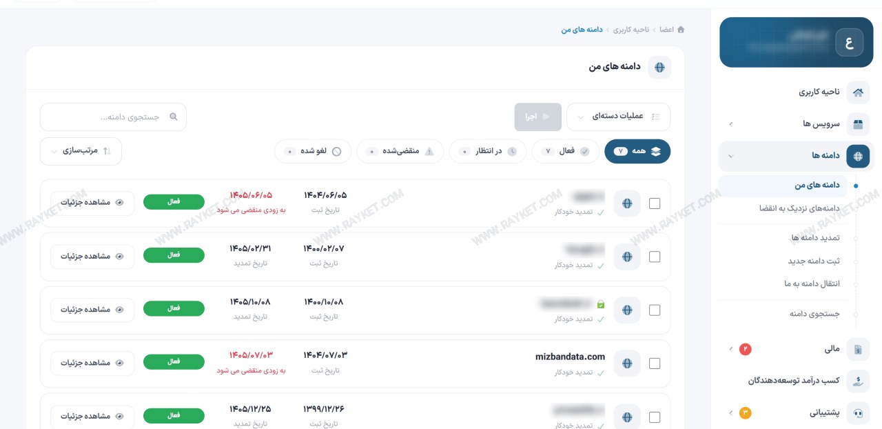 فهرست دامنهها در ناحیه کاربری رایکت