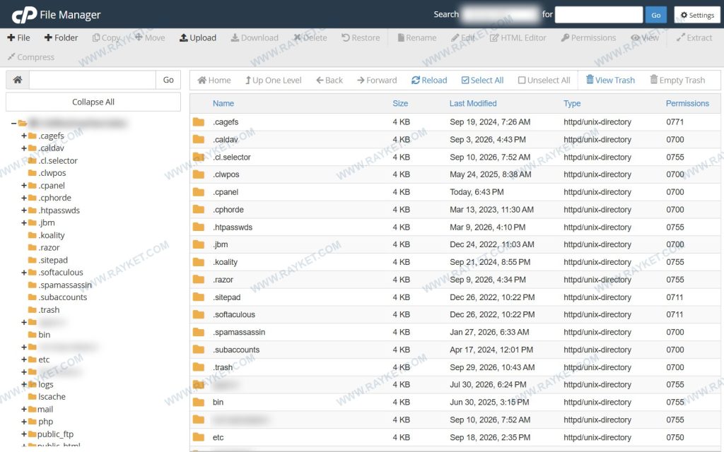 محیط File Manager سیپنل با نوار ابزار، درخت پوشهها و ستون Permissions