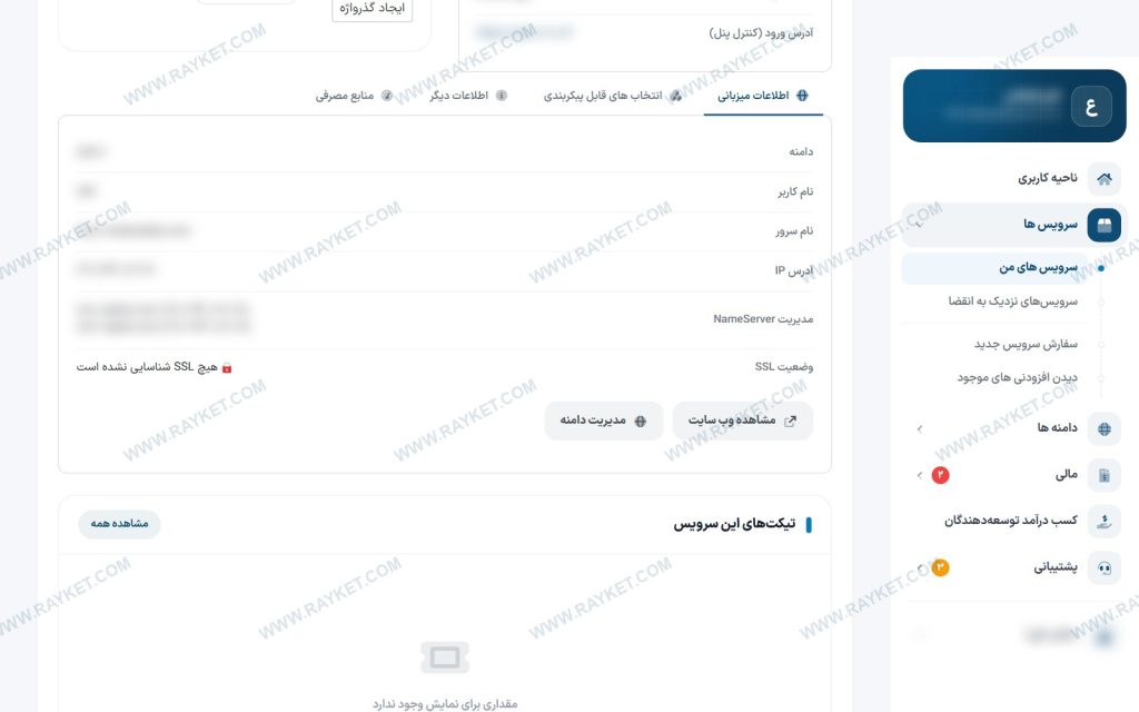 زبانه اطلاعات میزبانی شامل دامنه، نام سرور، آی‌پی و نیم‌سرورها