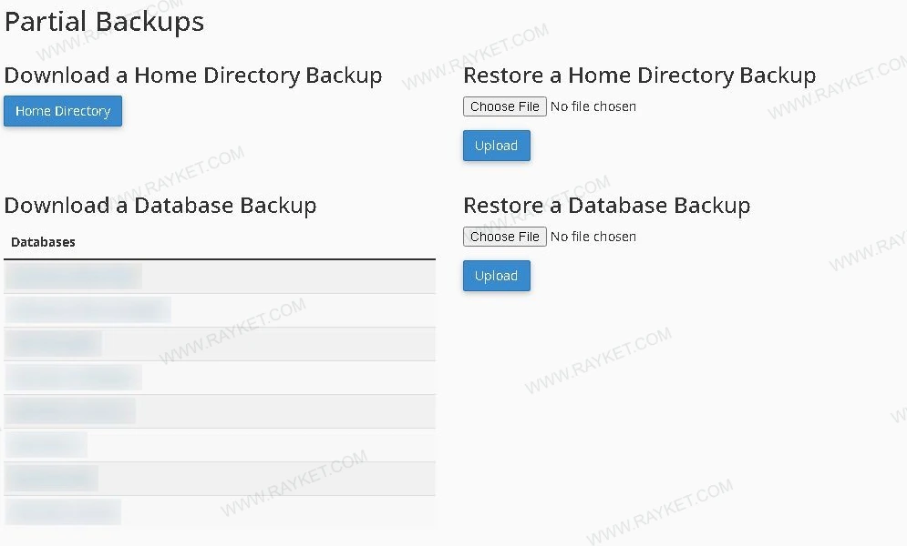 بخش Partial Backups سی‌پنل با گزینهٔ فایل‌ها و دیتابیس‌های محوشده