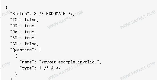 بخش Status با مقدار ۳ و نام آزمایشی rayket-example.invalid در پاسخ واقعی Google Public DNS